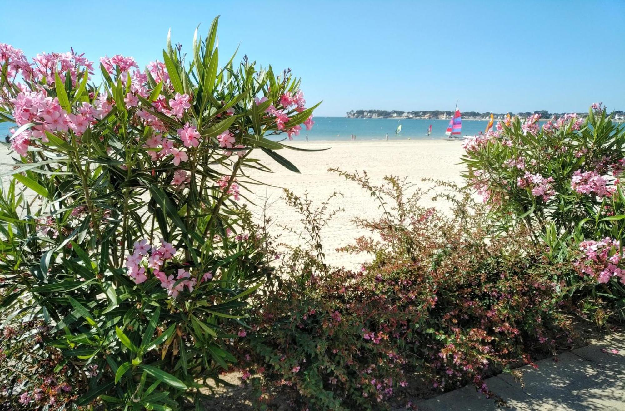 Le Capitole - Studio Plage Benoit Dans Residence Face Mer La Baule エクステリア 写真